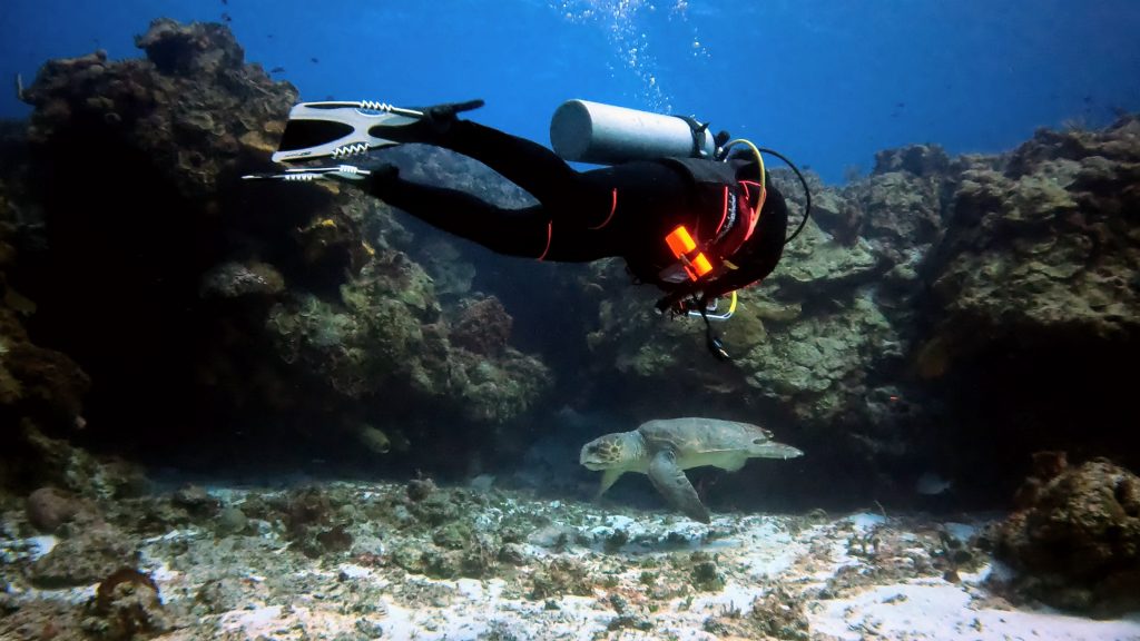 Scuba diver in full gear, swimming horizontally, next to a loggerhead turtle in Cozumel.