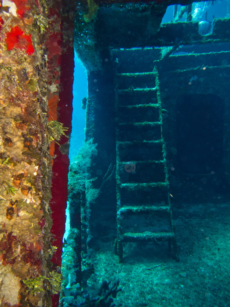 C-53 wreck dive stairs.