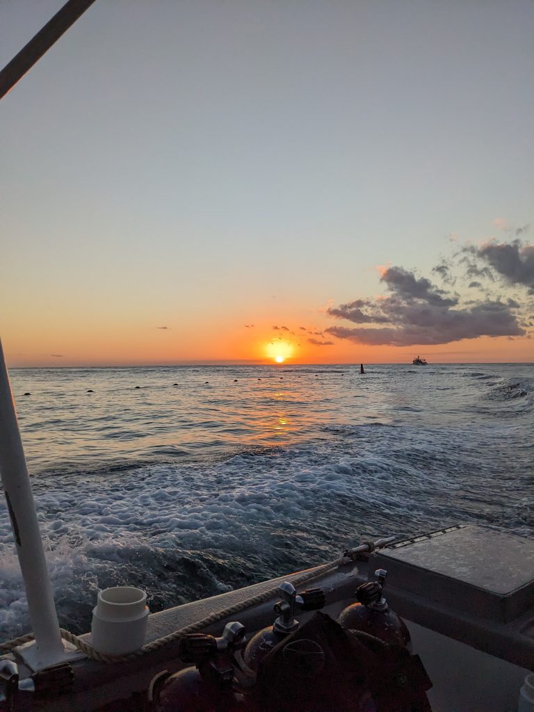 A beautiful sunset from the dive boat. 