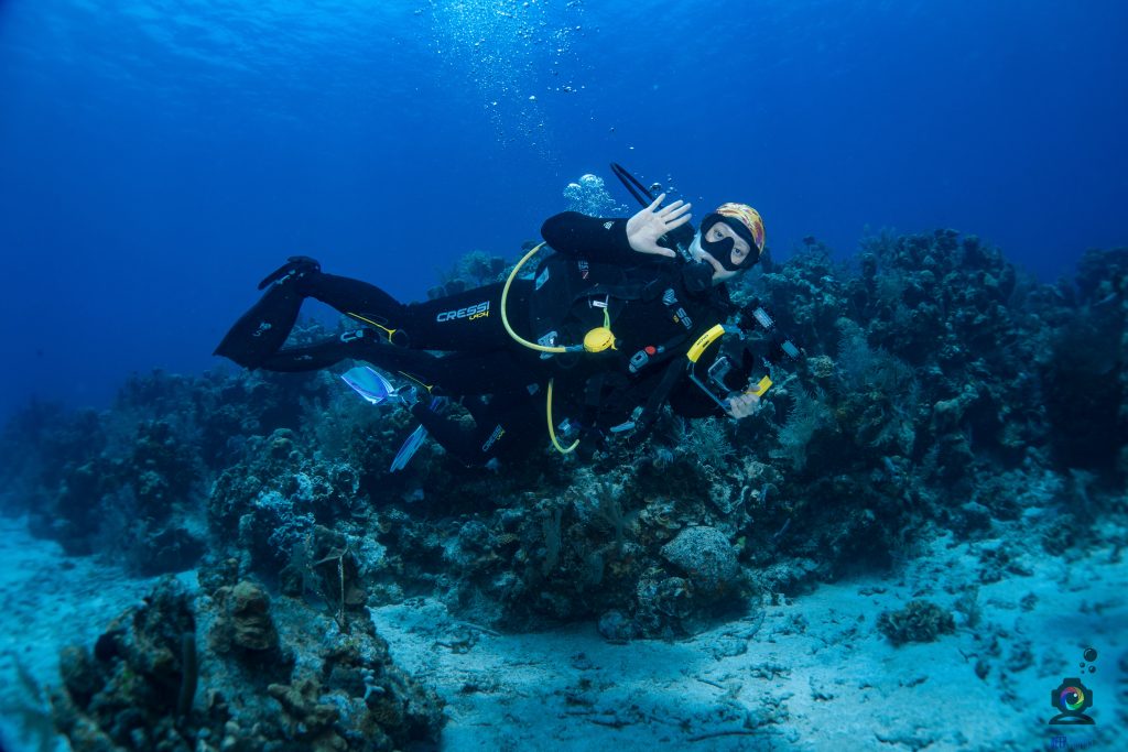 Diane diving under the seas of Roatan.